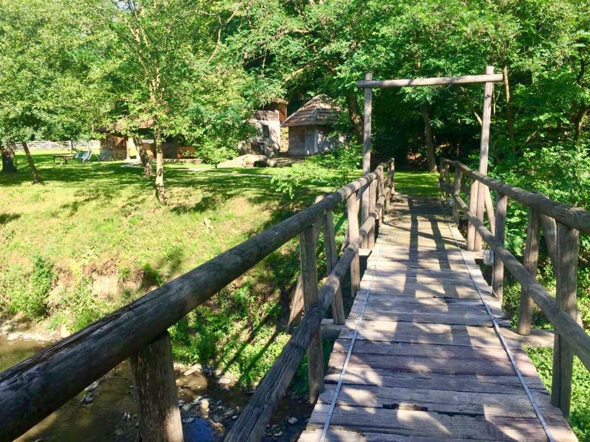 Villa Kuca Za Odmor Todorovica Mlin à Gornji Milanovac Extérieur photo