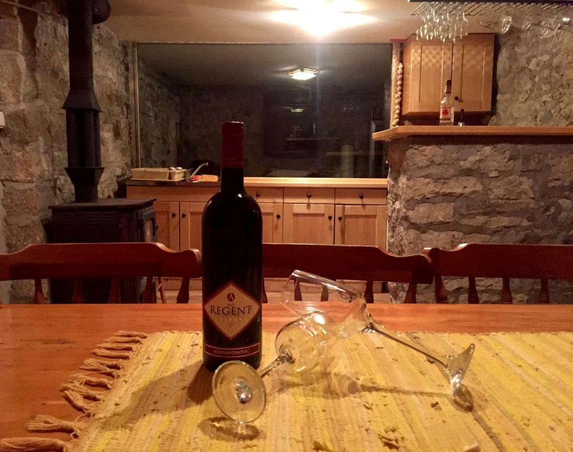Villa Kuca Za Odmor Todorovica Mlin à Gornji Milanovac Extérieur photo